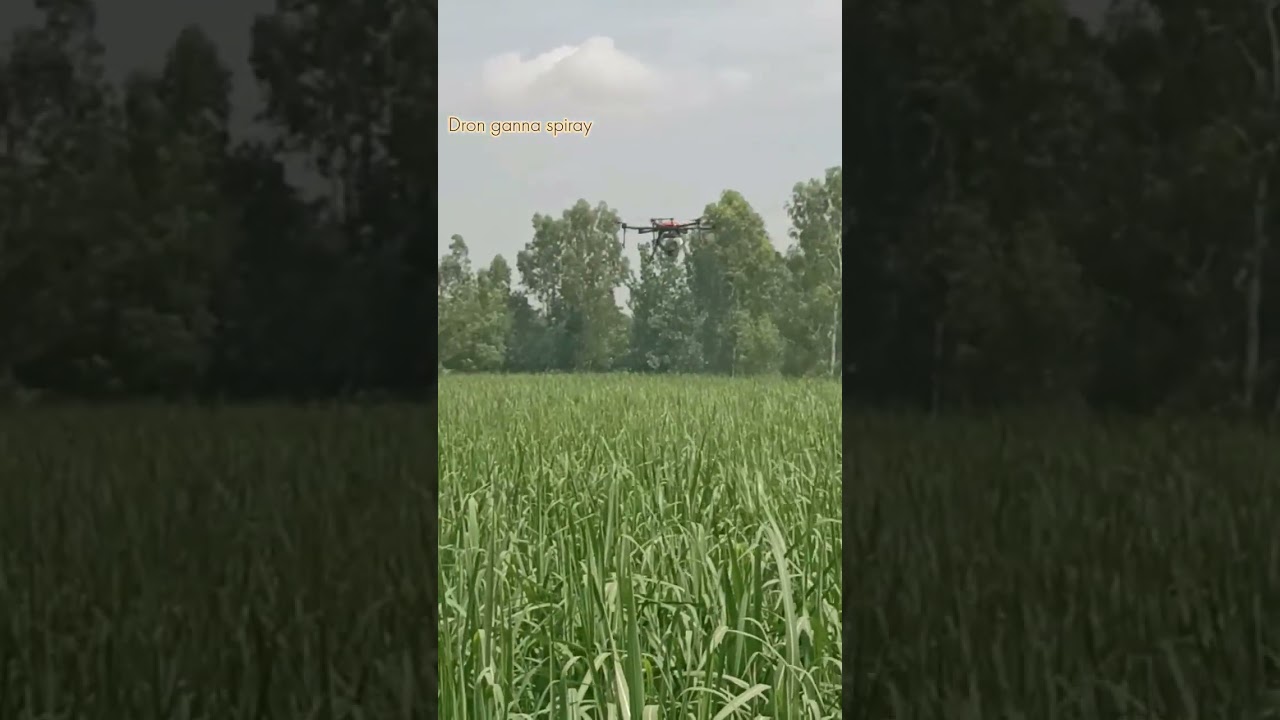 Dron ganna Spiray 🚁 
