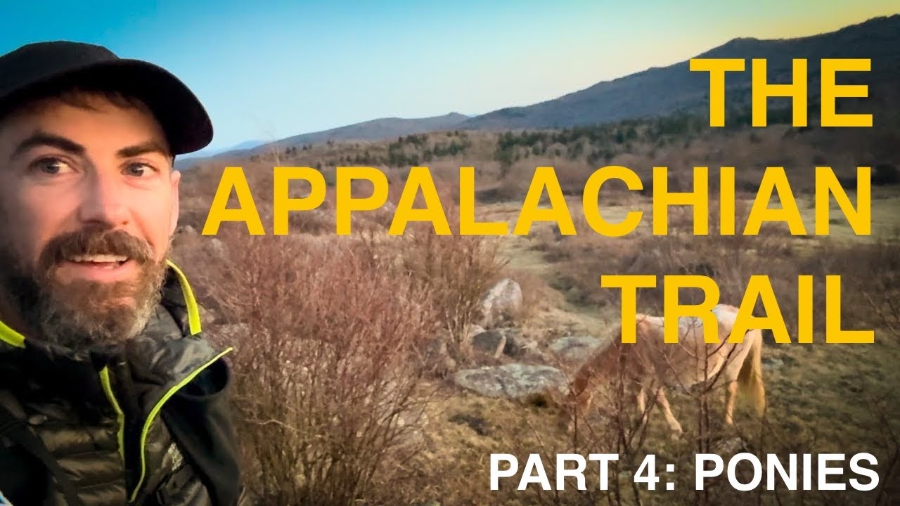Wild ponies! - Backpacking Grayson Highlands - AT Thru Hike Part 4