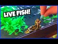 PET TURTLE Eats LIVE FISH For The First Time!