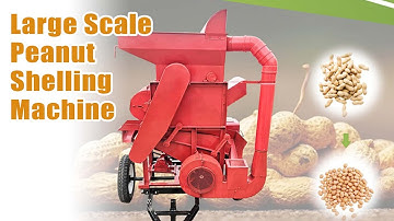 Automatic Peanut Sheller Machine | Large Peanut Shelling Machine |Working Video of Groundnut Sheller