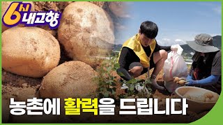 농촌에 활력을 불어넣다 | 6시내고향 | KBS전주