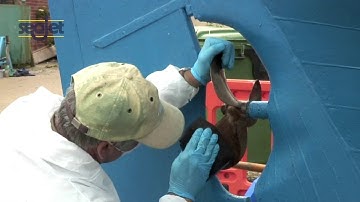 How to apply Seajet Pellerclean