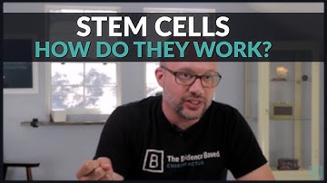 Stem Cells: How do they work?