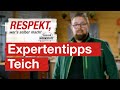 Expertentipps Gartenteich | toom Werkstatt