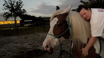 Checking in at the mounting block & asking for the pick me up. 