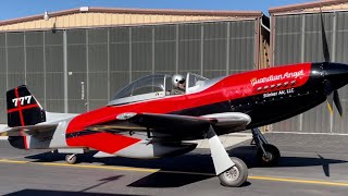 Stinker Air LLC Thunder Mustang Air Race Plane  Tuned By Shane T