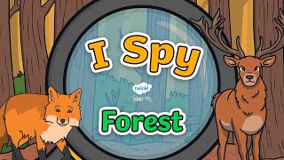 forest wildlife adventure twinkl kids tv i spy woods