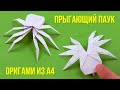 Прыгающий паук из бумаги А4 - оригами без клея