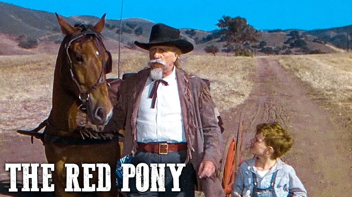 The Red Pony | ROBERT MITCHUM | Western Movie | Dr...
