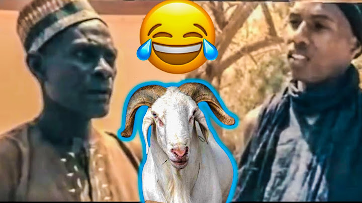 GOLBERT DIAGNE AK PEUL BI 😂😂😂😂 TAY MOU NEKH : YAAKO SIIFFEEE WONE DANGAY REE BATASSS