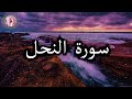 سورة النحل عمير شميم      