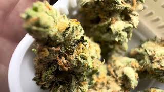PURA VIDA By Local Roots REVIEW 