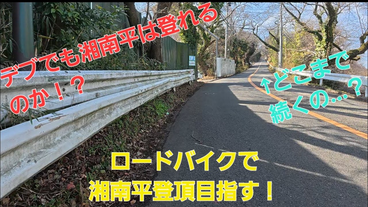 【湘南平】デブでも湘南平は登れるのか！？【ロードバイク】
