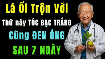 Cách Trị Tóc Bạc Sớm Bằng Lá Ổi – Giúp Tóc Đen, Chắc Khỏe Và An Toàn Sau 7 Ngày!