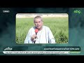 توفيق عكاشه فلأذهب انا للجحيم وتبقي مصر