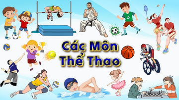 Bé học tiếng anh các môn thể thao| Sports| Bóng đá, cầu lông, bóng rổ, bóng chuyền, nhảy cao
