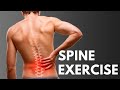 Spinal health  eldoa l5s1 w stefanie obregozo fix back pain