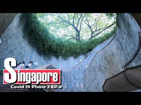 Fort Canning Tree Tunnel - Singapore