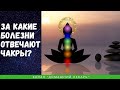 За какие болезни отвечают чакры? - Домашний лекарь - выпуск №318