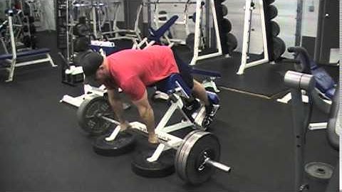 335 lbs x 3 Reps 45 Degree Hyper PR