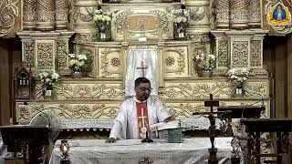 Seventh Week of Easter, Saturday, 23 May 2025.
