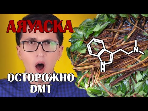 АЯВАСКА?ДМТ?Ты под наркотой. Последствия, опыт. Эффект Аяуваски.