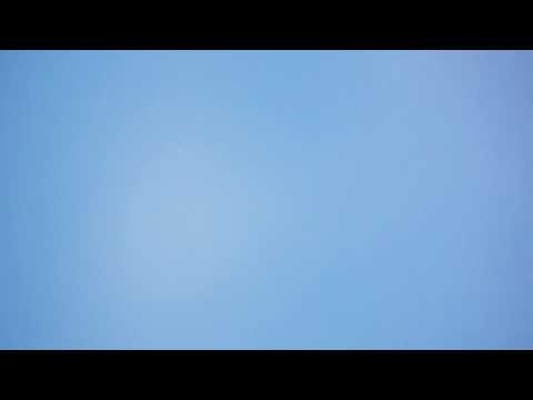 7 Red Kites over Crediton?