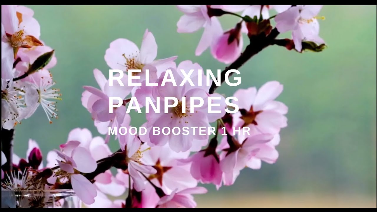 RELAXING PANPIPES music 1 hr MOOD BOOSTER YouTube