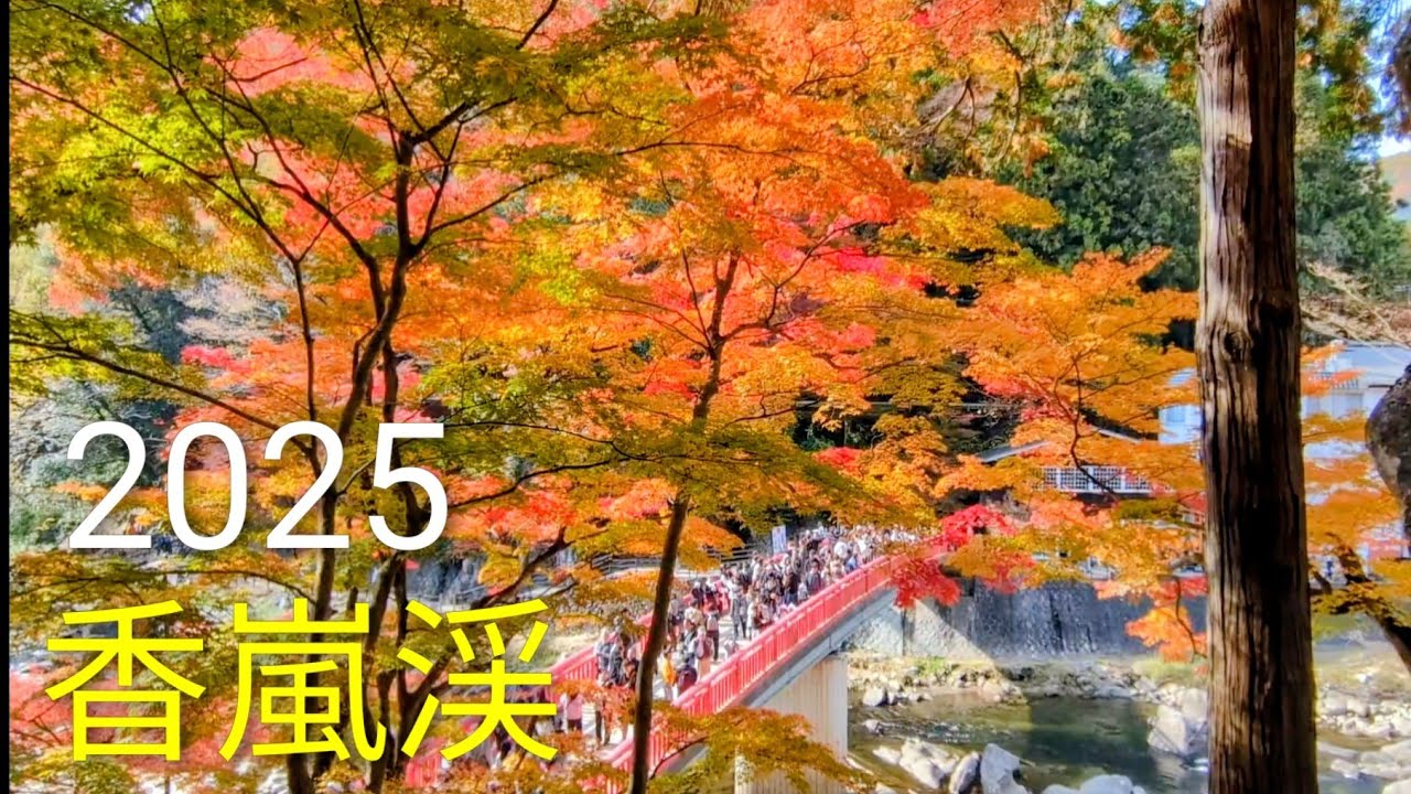 香嵐渓（2025）紅く染まる飯盛山