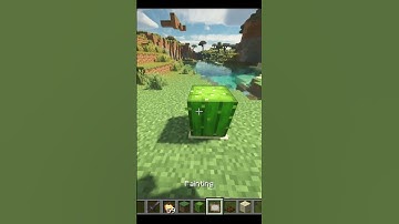 Working Trash Can In Minecraft  #shorts