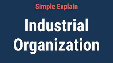 What is Industrial Organization?