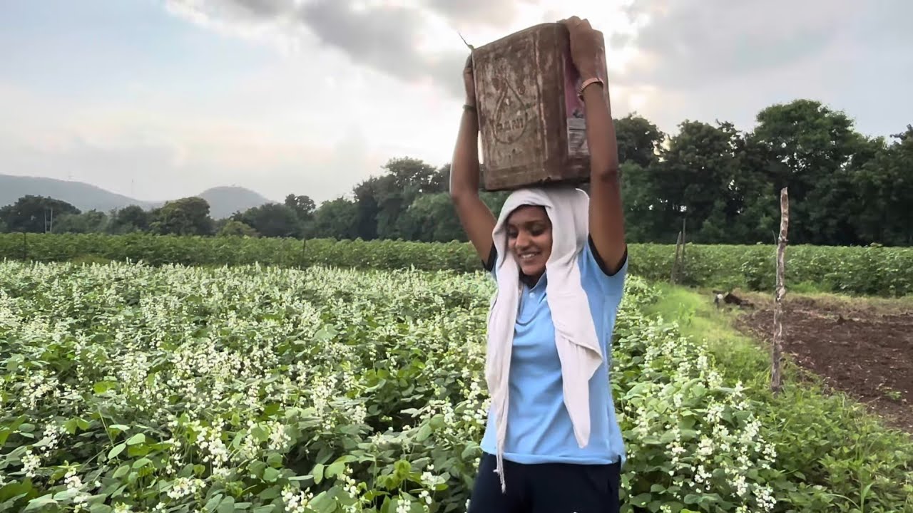 Vlog_112 મરચા - વાલોળ @Mita_Chauhan @Mita_Chauhan_Vlog 