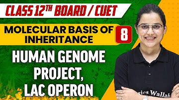 Molecular Basis of Inheritance 08 | Human Genome Project, Lac Operon | Class 12th/CUET