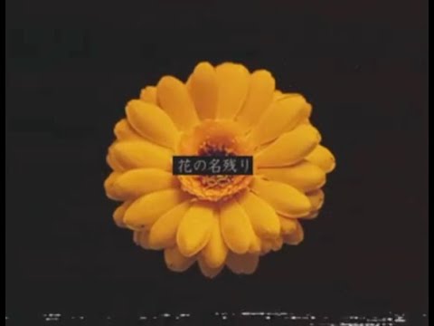花の名残り / 海月瑶 cover