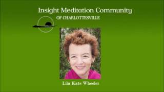 IMCC 2016 Spring Retreat: May 14 Dharma Talk II (Lila Kate Wheeler)