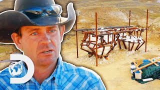 A Whole Tyrannosaur Fossil Gets Moved! | Dino Hunters