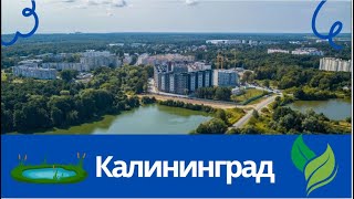 Калининград, микрорайон Александра Космодемьянского  Косма