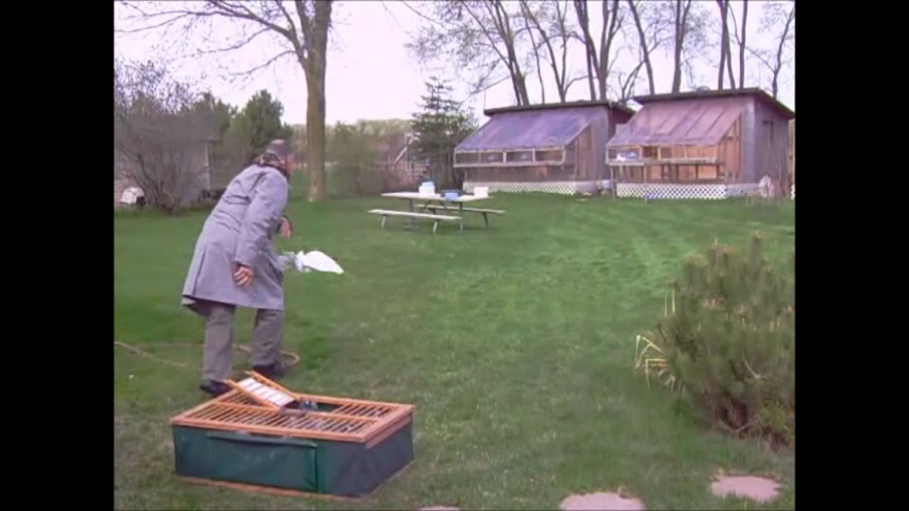 Valente & Evans Loft TRAP TRAINING 2012