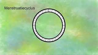 Ongesteld worden (menstruatiecyclus)