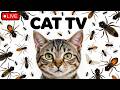 🔴12HOURS LIVE : Best Cat Games Videos 2025 – Endless Entertainment for Cats Ep102🐞 🐝🐞🦋