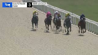 Vidéo de la course PMU CLAIMING