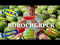 На машине в Сочи и Крым 2021 | Новосибирск 🍉🍱🥩 | Меняем маршрут 🛣 | Часть 8