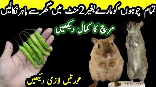 get rid of mouse | Chuhe baghane ka tarika | Rat killer trick | rat killer | kitchen tips