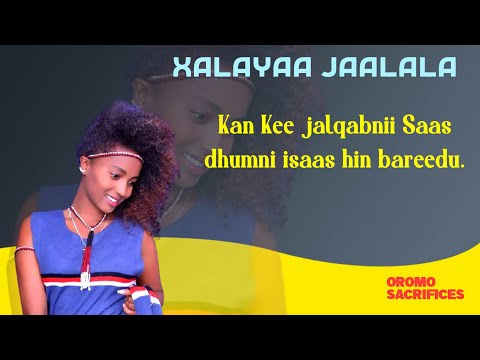 Kan Kee Jalqabni Saas Dhumni Saas Hin Bareeduu Xalayaa Jaalalaa