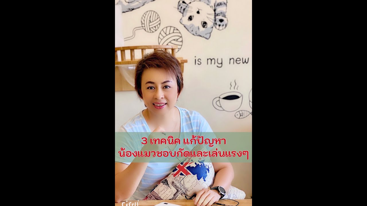 Live...3 เทคนิค แก้ปัญหาน้องแมวชอบกัดและเล่นแรงๆ