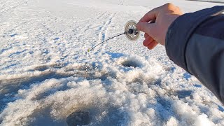 картинка: Я ДАВНО МЕЧТАЛ СЮДА ПОПАСТЬ! КИВОК ВНИЗ на ГЛУБИНЕ! Рыбалка на безмотылку зимой в 2025