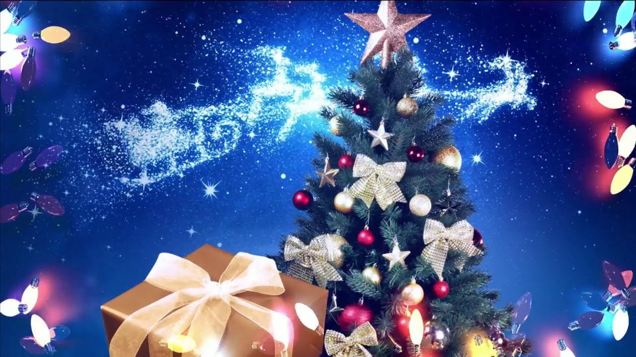 Gift ideas for the pet parents in your life