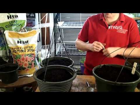 Indoor Winter Herbs, What you Cannot Can & More - The Wisconsin Vegetable Gardener