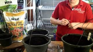 Indoor Winter Herbs, What you Cannot Can & More - The Wisconsin Vegetable Gardener