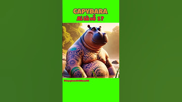 Capybara nhờ cá sấu đòi lại công bằng #capybara #haihuoc #hoạthình